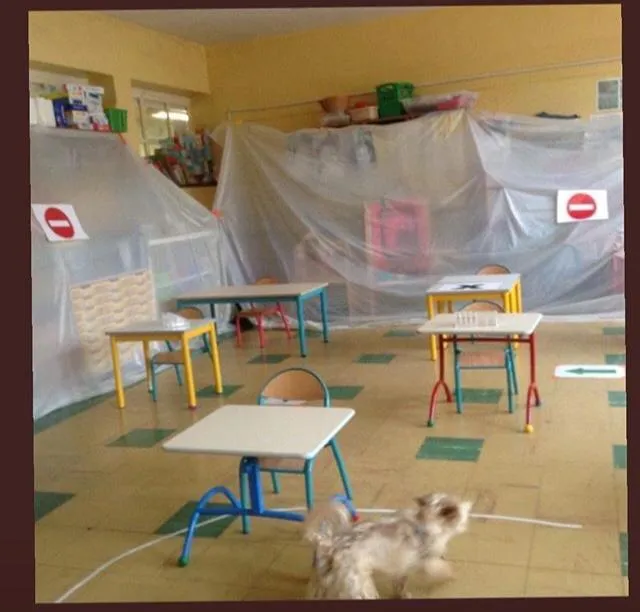 T29. Avec ou sans masque, est-ce bien une rentrée à l’école ?