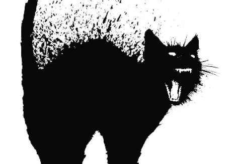 chat-peint.png