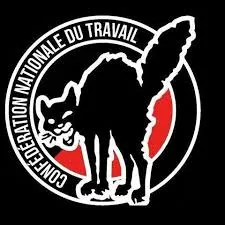 Siamo tutte antifasciste! Siamo tutti antifascisti! Communiqué du Supérieur-Recherche 75