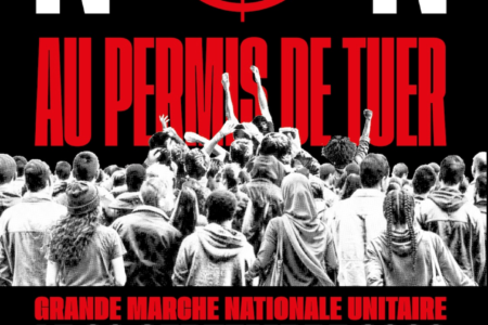 Manifestation contre le « permis de tuer »